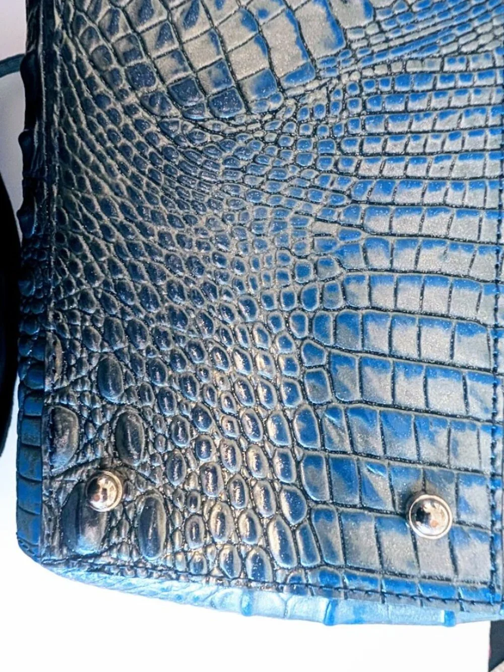 Brahmin brand new